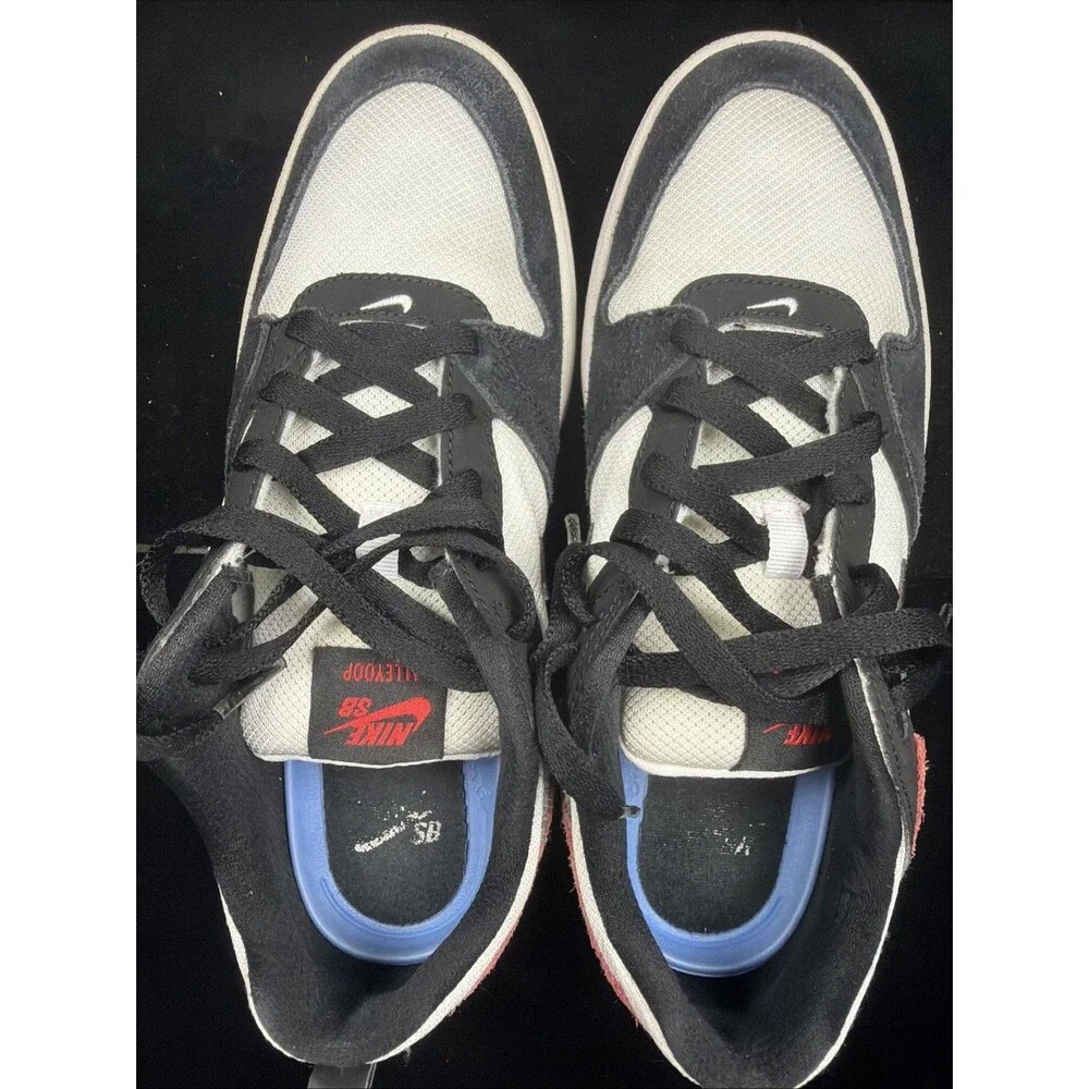 Nike SB Alleyoop [CJ0882-102] Men Skate Shoes White/Black/Washed Coral Sz 8